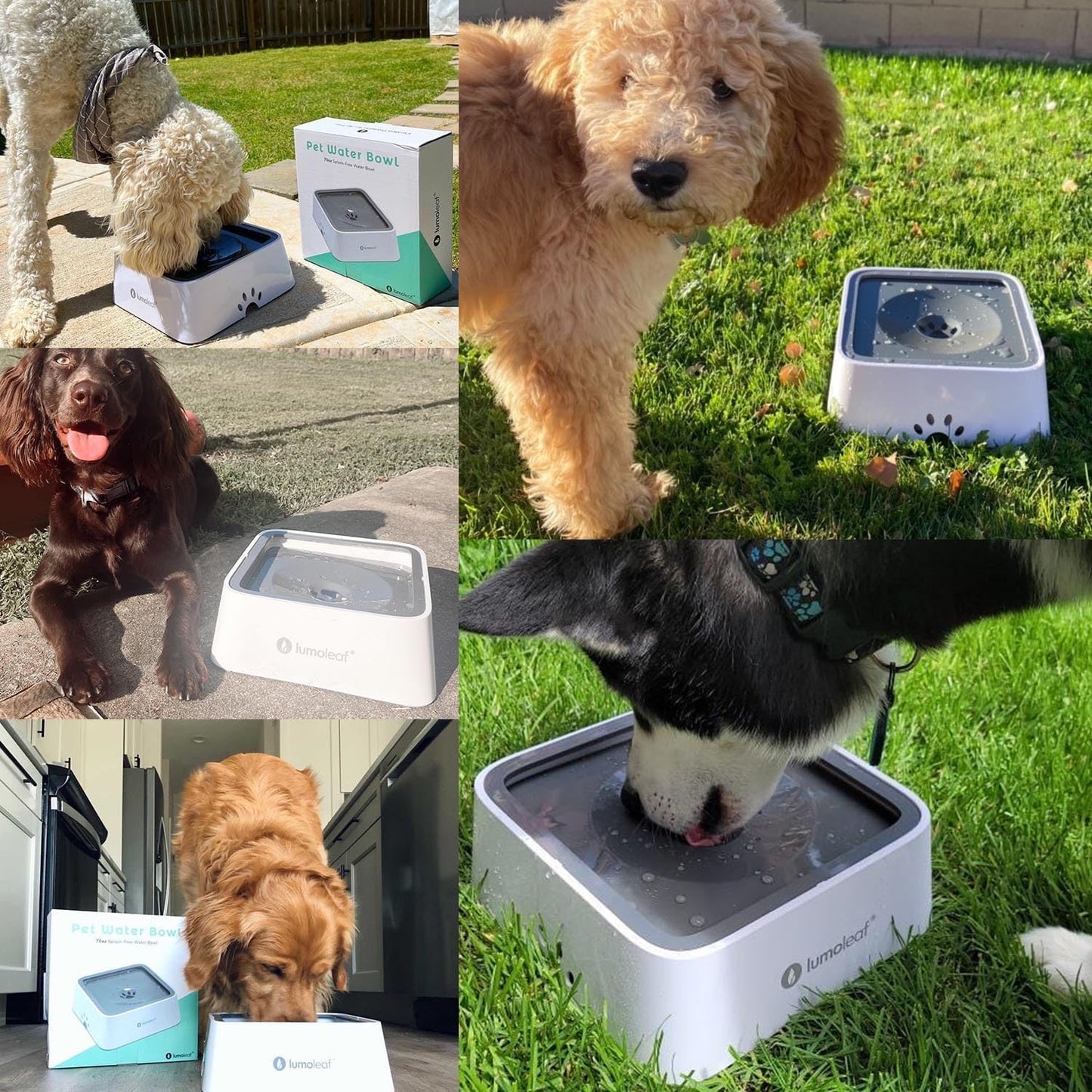 Travel friendly vehicle carried no spill pet bowl in grey