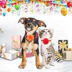 Packaging of twenty pieces premium chiffon pet outfit styling decorations