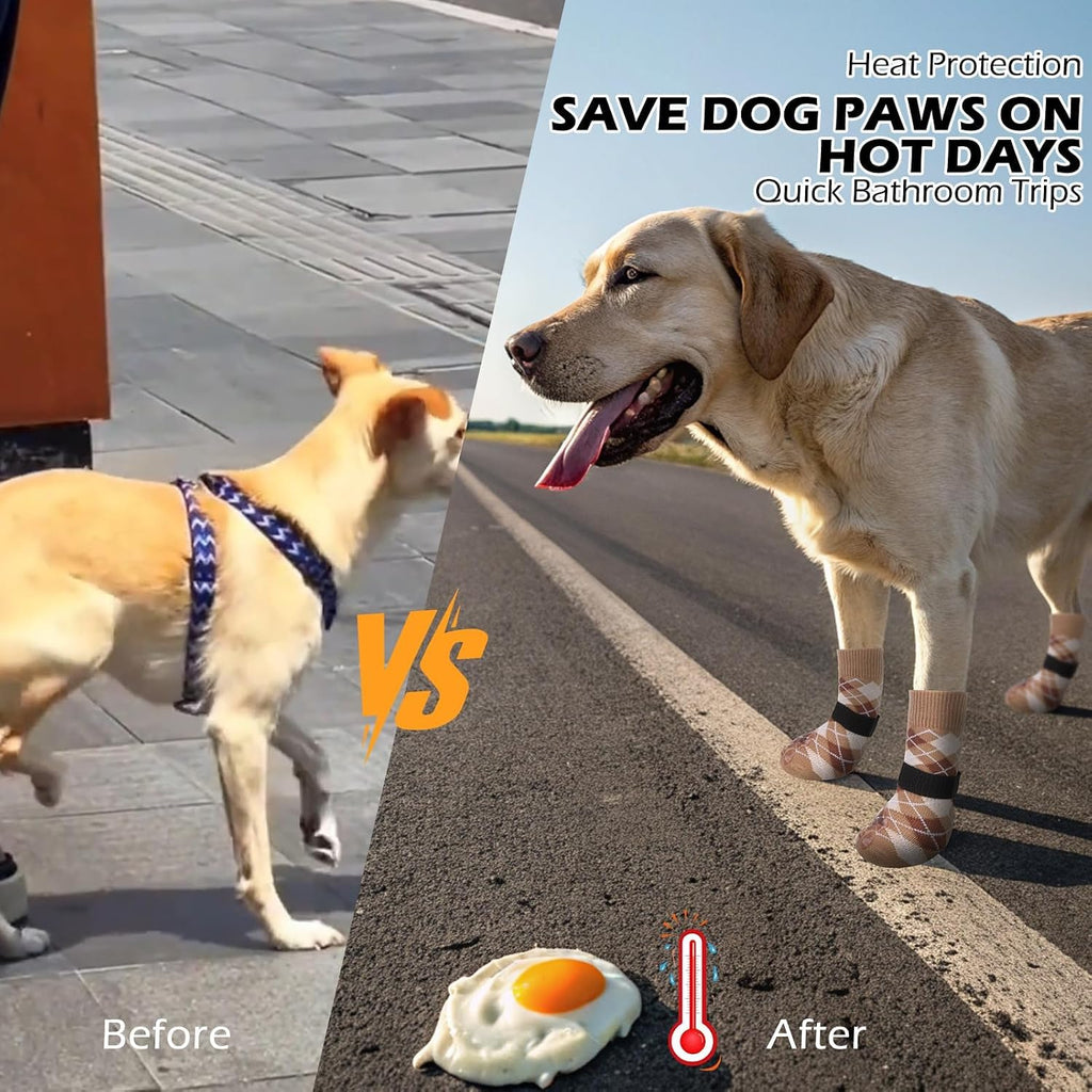 Dog wearing medium sized khaki Expawlorer socks for paw protection