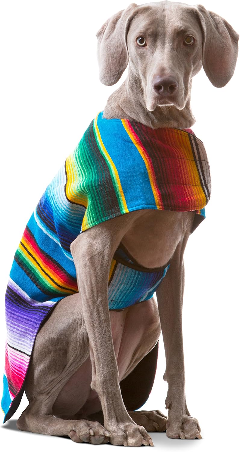 Dog Clothes - Handmade Dog Poncho from Authentic Mexican Blanket by Baja Ponchos (Blue, Small) - Image 9