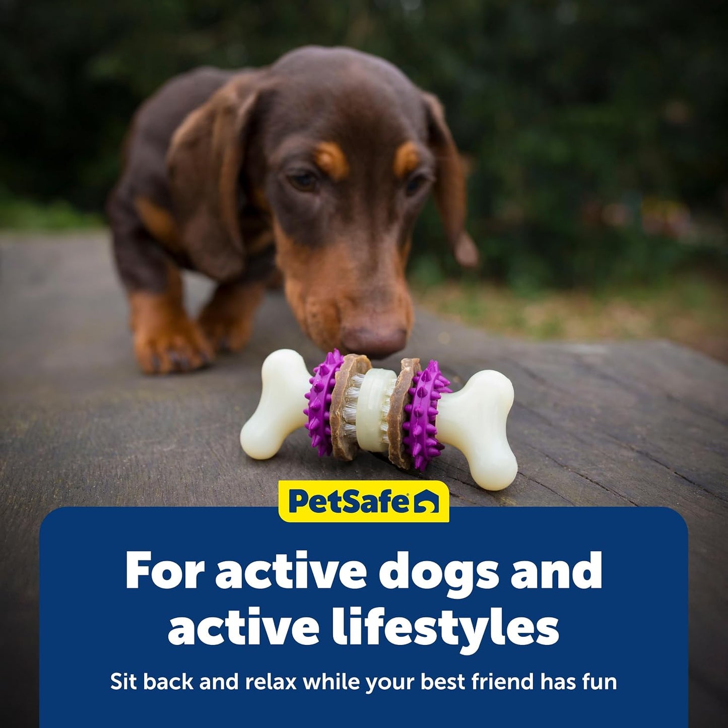 Top rack dishwasher safe pet dental bone toy closeup.