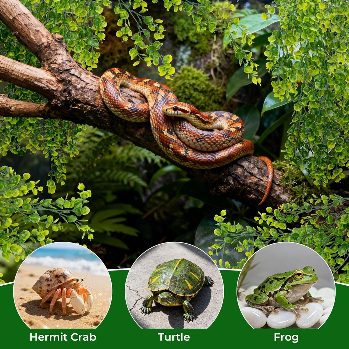 Rainflow reptile habitat greenery displayed inside a glass tank