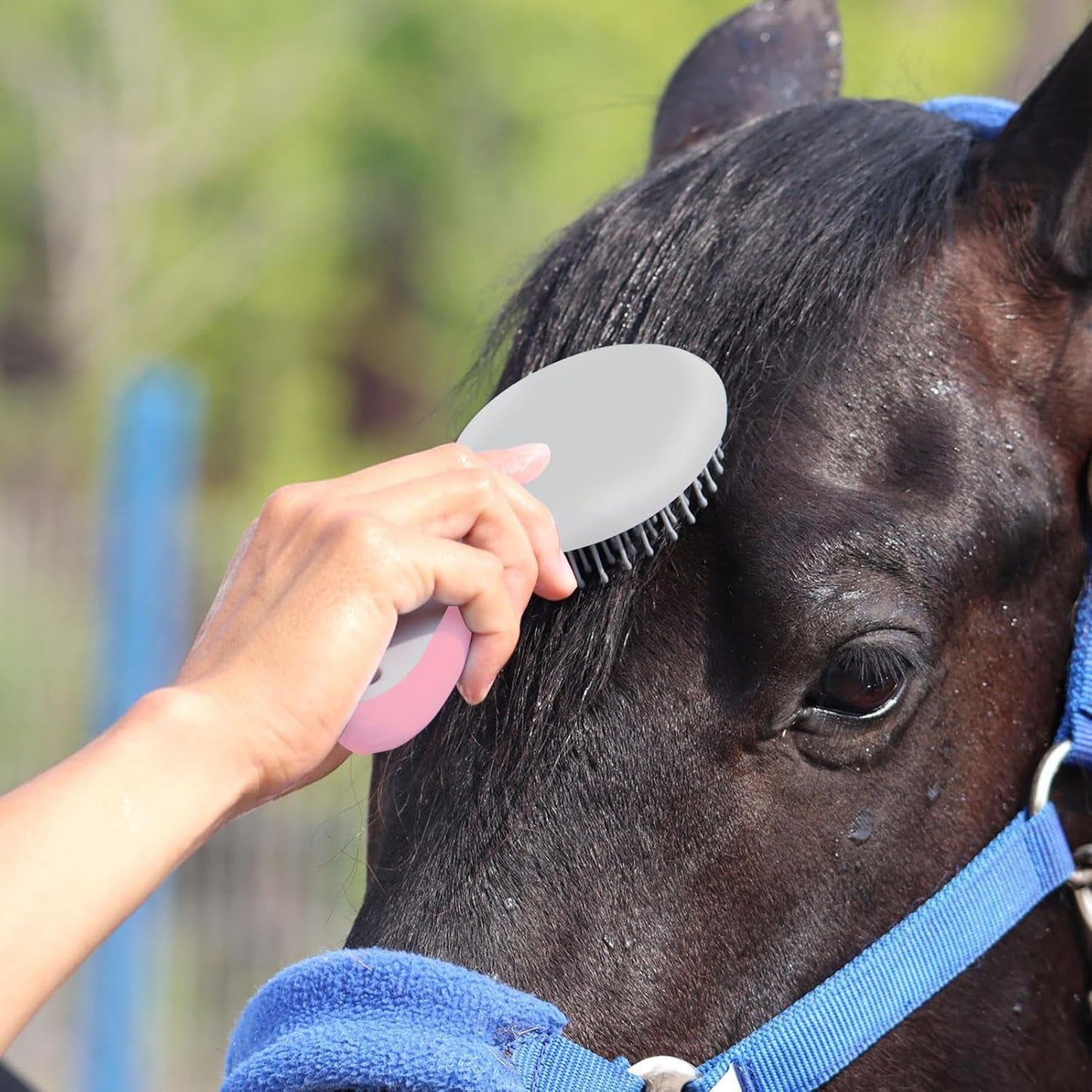 Ergonomic humanized handle of Shjxi grooming brush