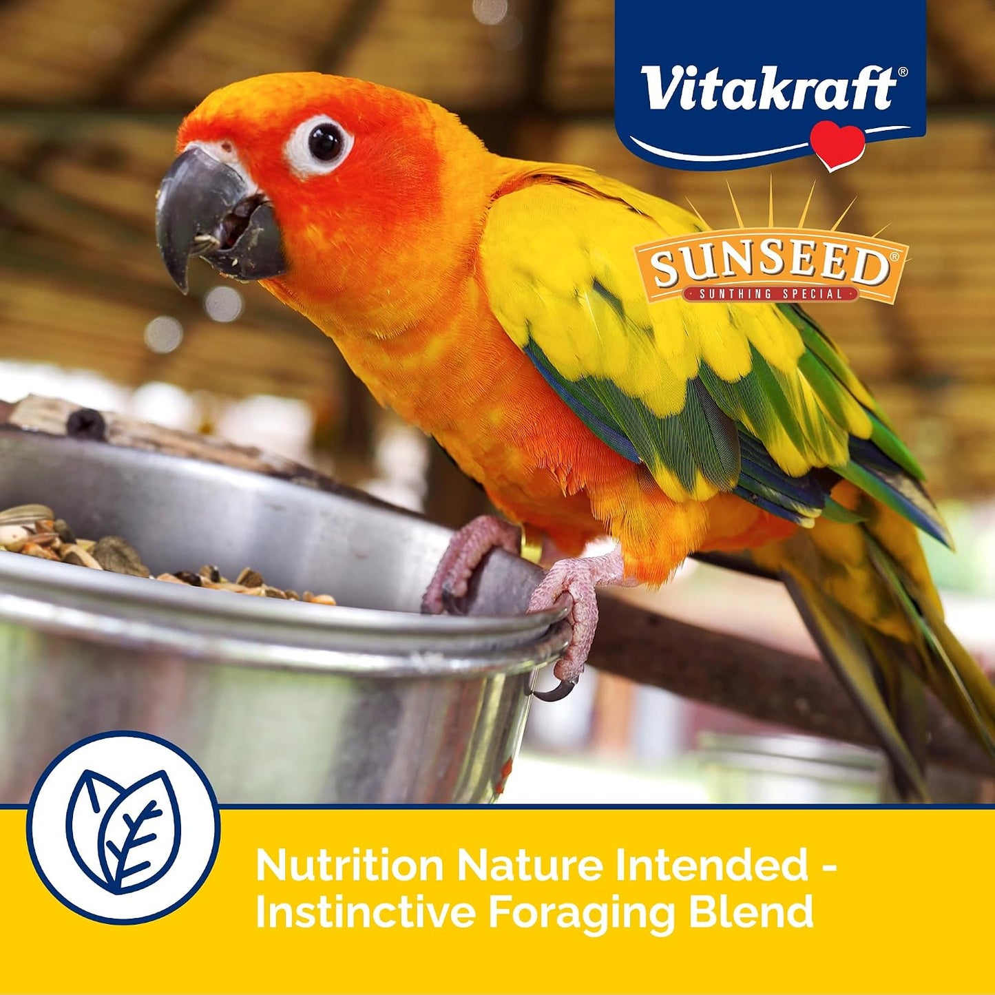 Sunseed Vita Prima Conure Food - Nutrient-Rich Blend with Fruits, Vegetables & Seeds Supports Healthy Feathers, Eyes & Active Energy - 3 lb Bag - Image 3
