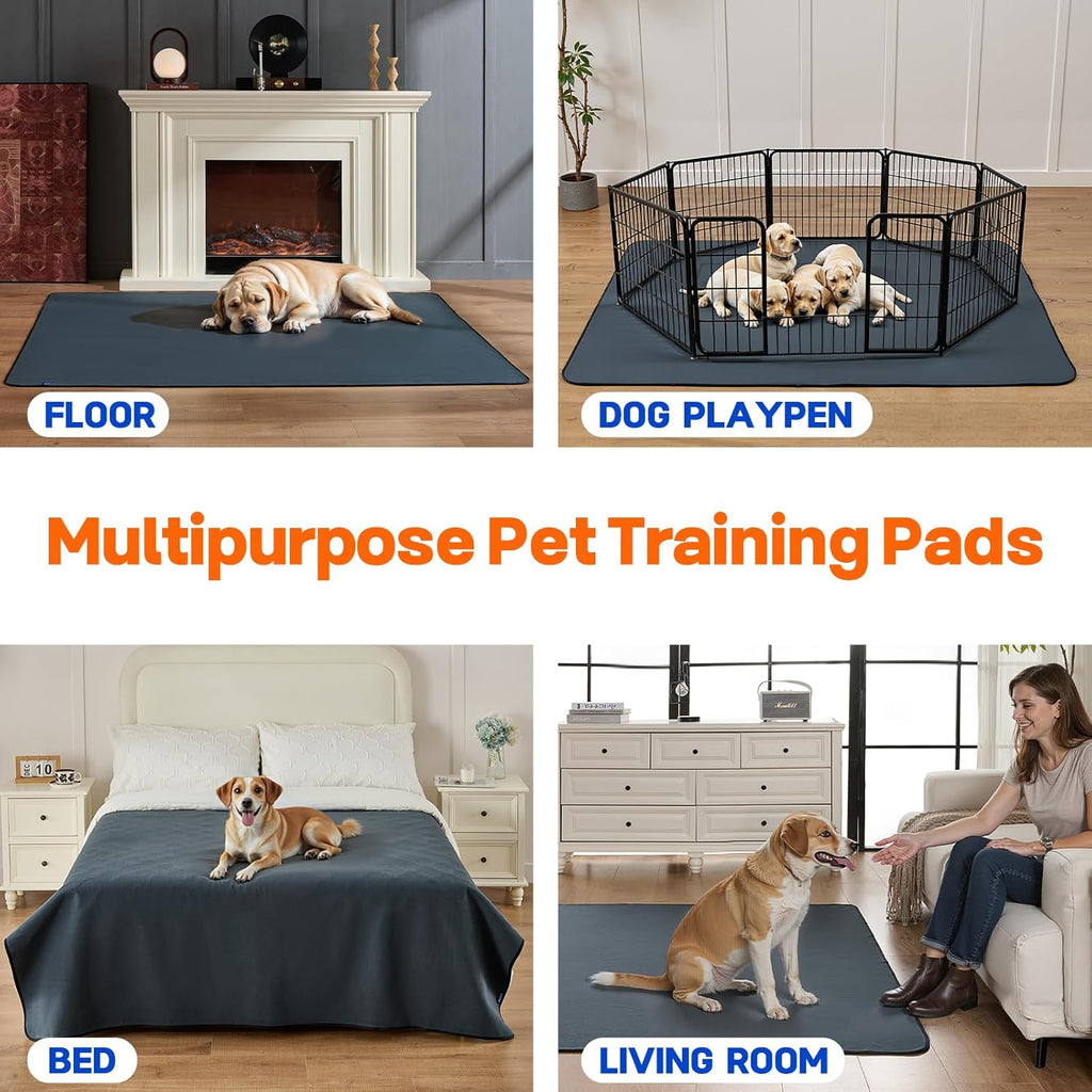 Dog standing on Sunsleek extra large reusable pee pad
