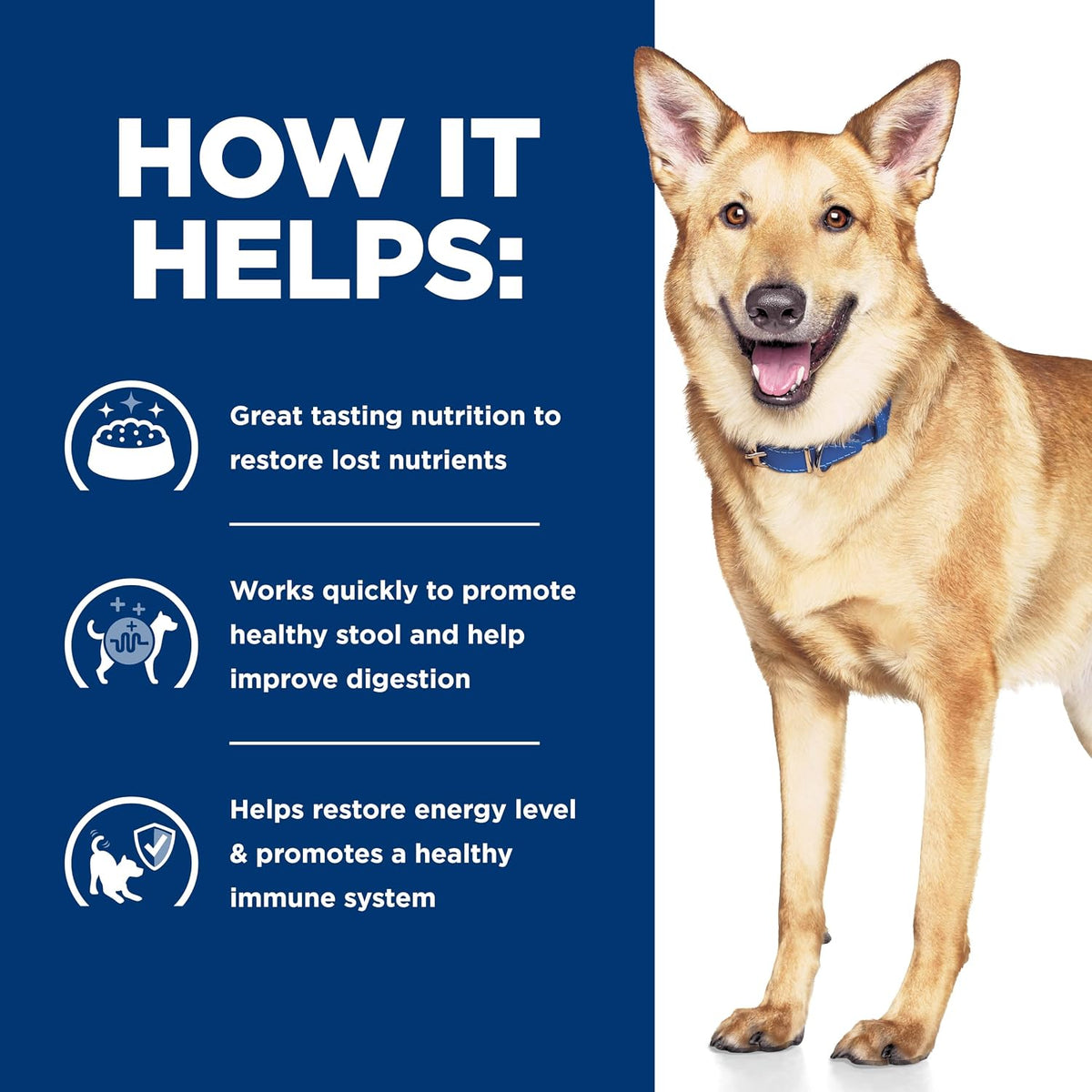 Hill's gastrointestinal health dry food for adult dogs close up packaging view