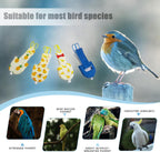 Zaruatu Reusable Parrot Nappy packaging and included pieces