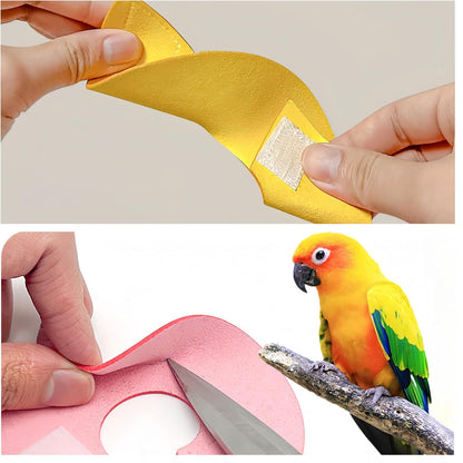 Cockatiel parrot safely resting while wearing a Magnoloran breathable anti bite neck cloak