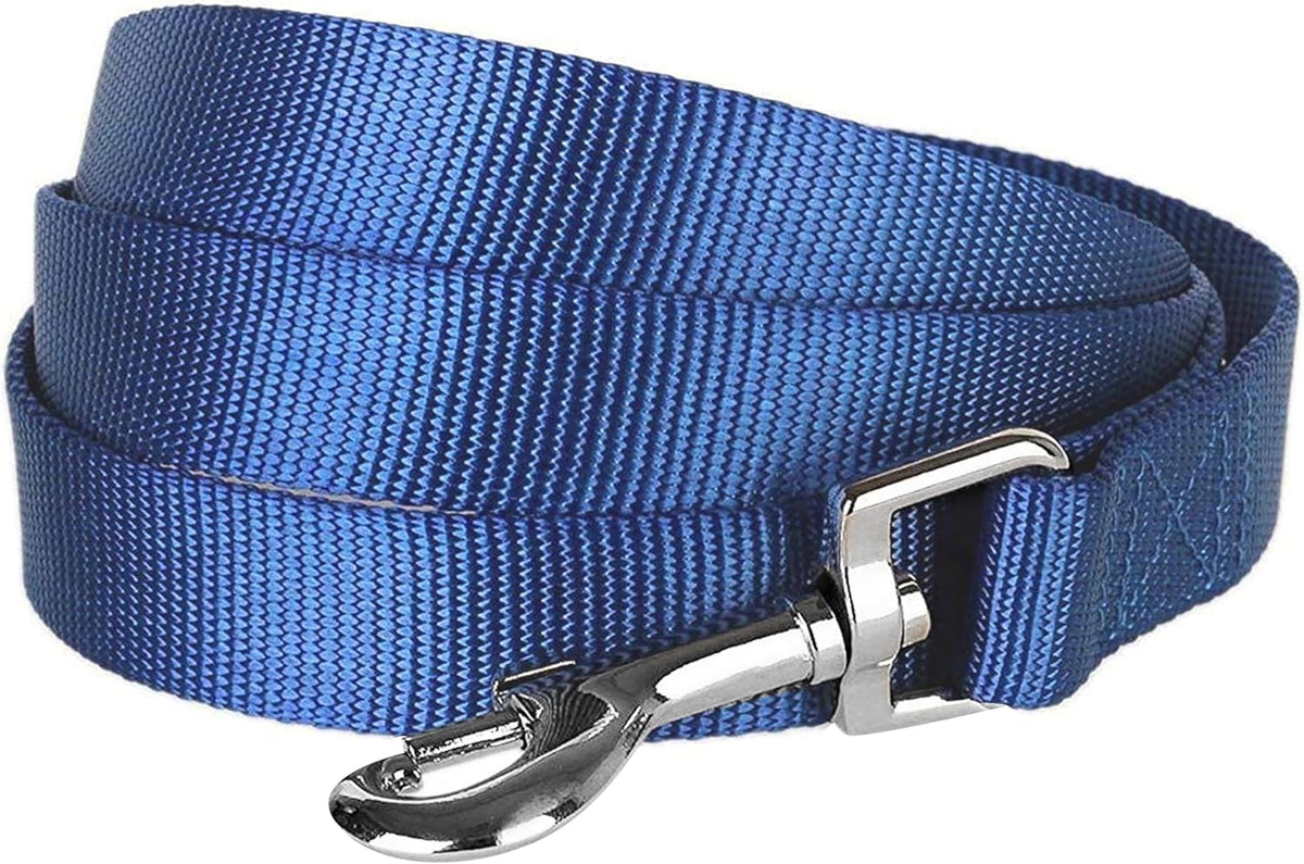 Blueberry Pet Essentials Marina Blue Dog Leash for Large - 4' * 1" Dogs | Heavy Duty Nylon Lead | Lightweight Puppy & Cat Leash for Walking & Training - Image 9
