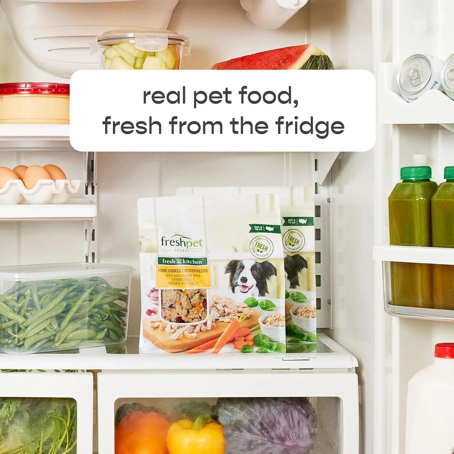 Salutem Vita dog food rolls in cooler box for delivery