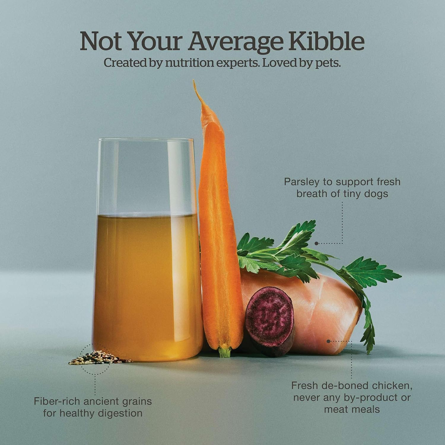 Now Fresh premium dry dog food showing turkey bone broth benefits for canine hydration