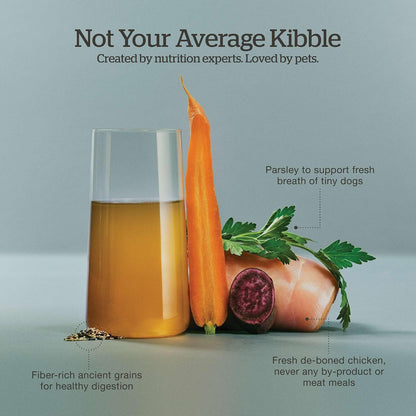 Now Fresh premium dry dog food showing turkey bone broth benefits for canine hydration