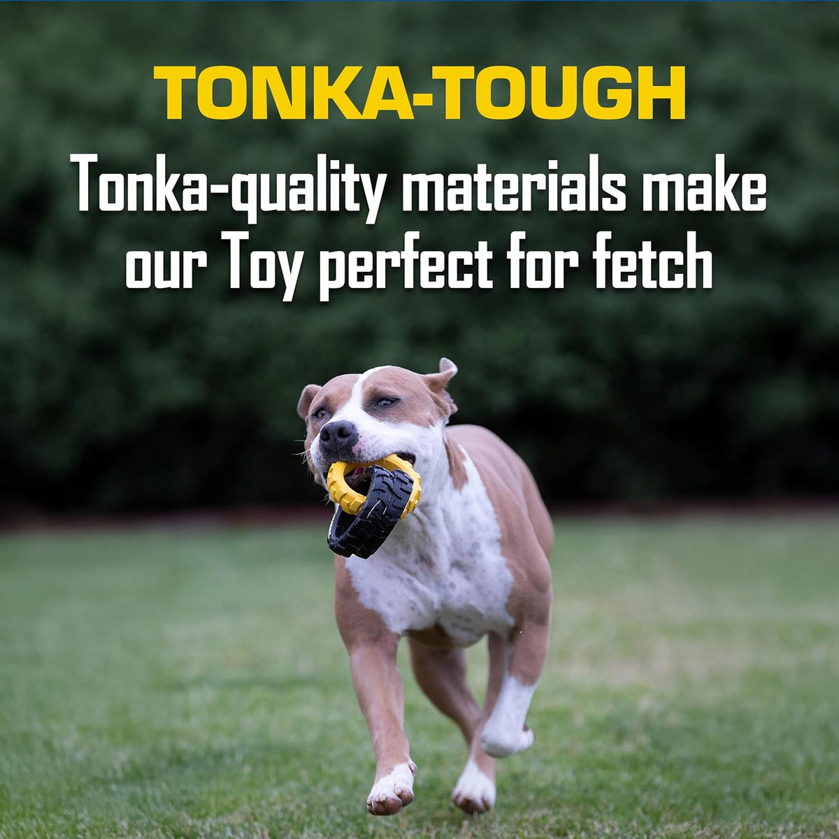Weather resistant Tonka pet fitness ring toy suitable for backyard fetch.