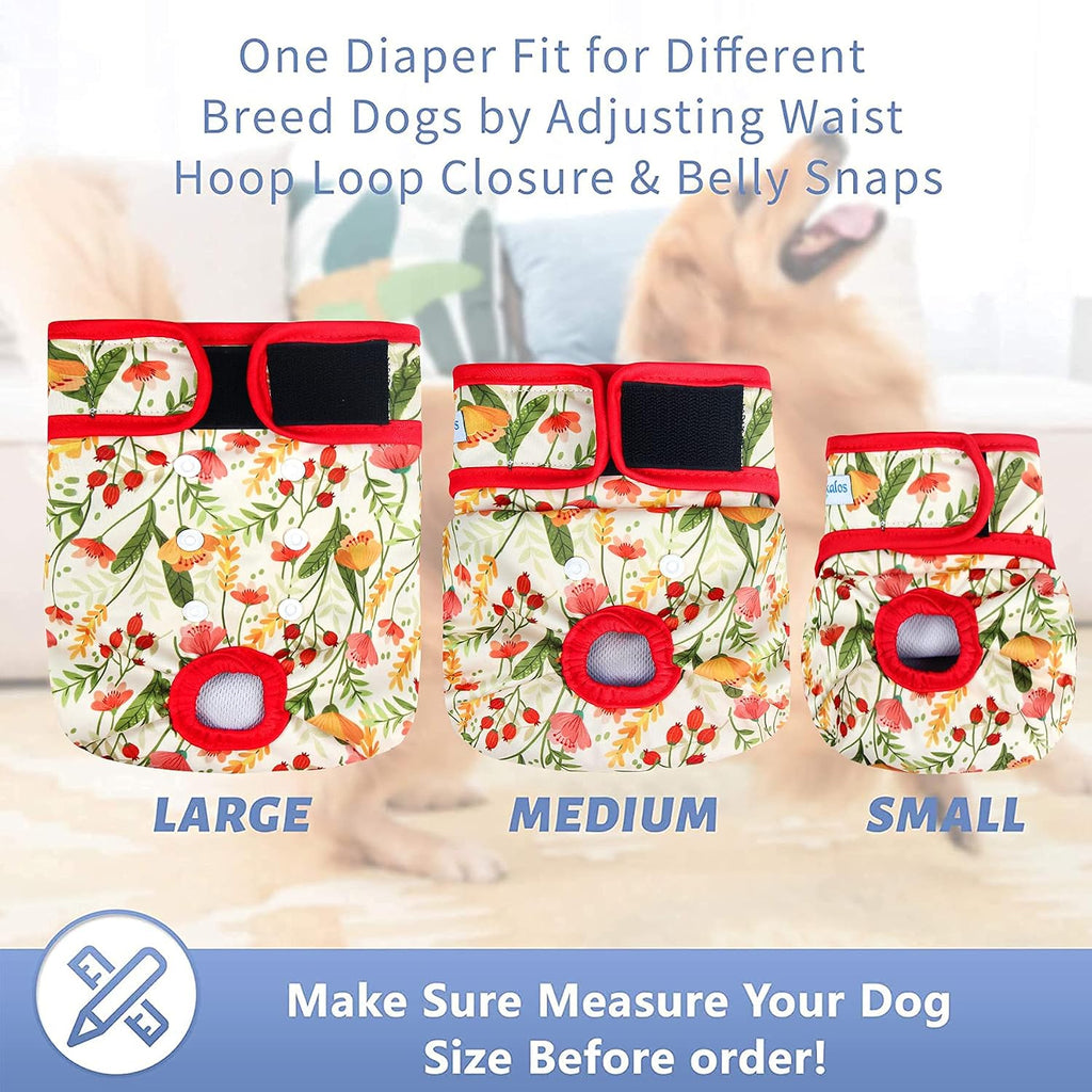 Leekalos medium size dog diapers highlighting the comfortable elastic tail hole design.