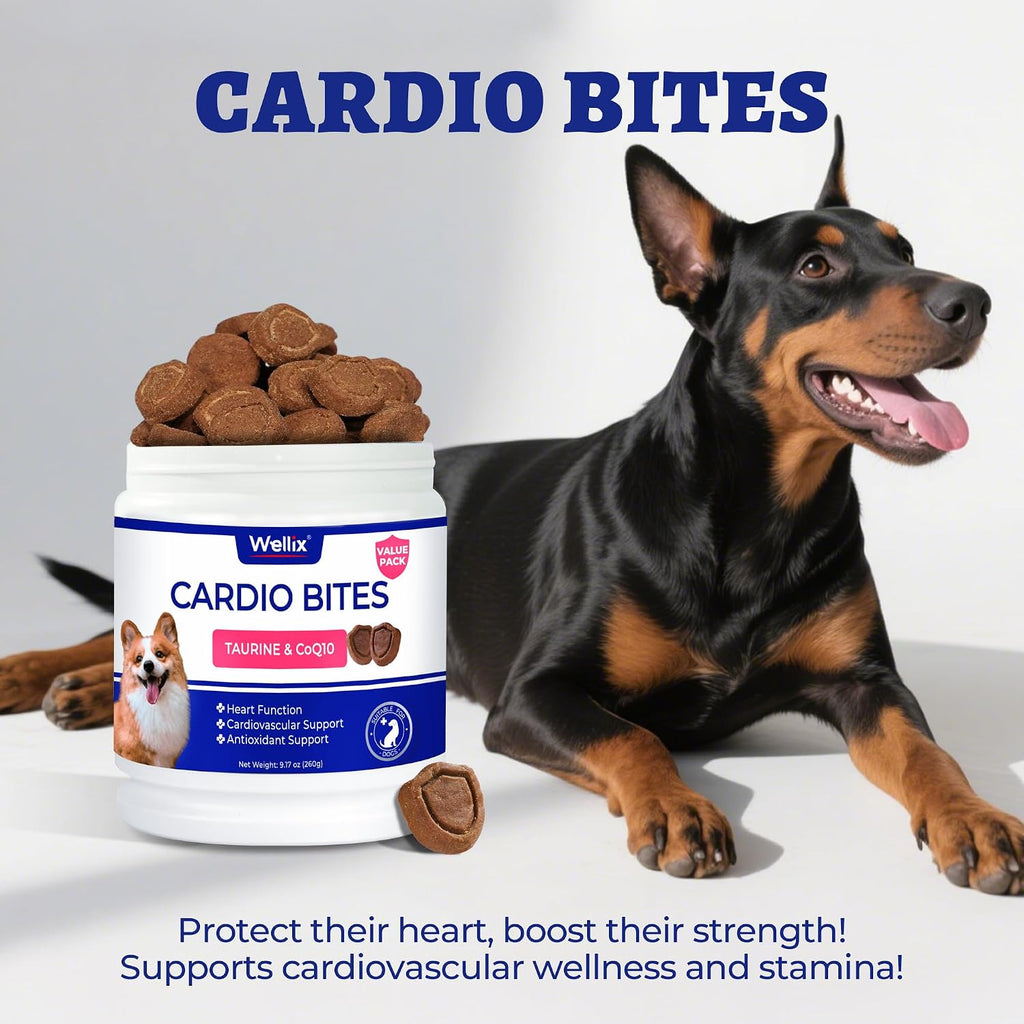 Premium dog heart supplement for muscle strength and rhythm