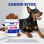 Premium dog heart supplement for muscle strength and rhythm