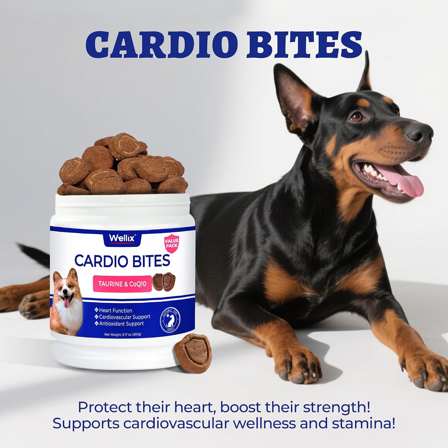 Premium dog heart supplement for muscle strength and rhythm