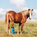SilTriangle waterproof horse hoof bag focusing on the leak proof stitching and heavy duty closure mechanism.