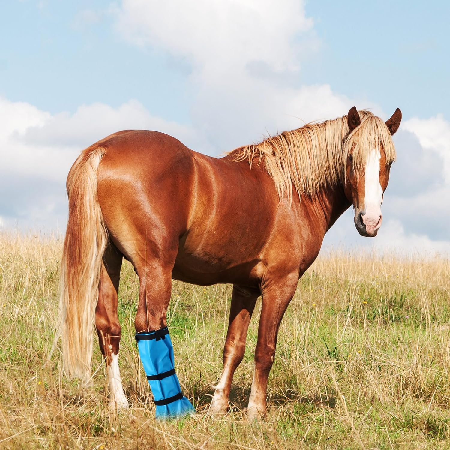 SilTriangle waterproof horse hoof bag focusing on the leak proof stitching and heavy duty closure mechanism.