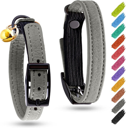 Full packaging presentation of the imported WAUDOG stylish pet accessory