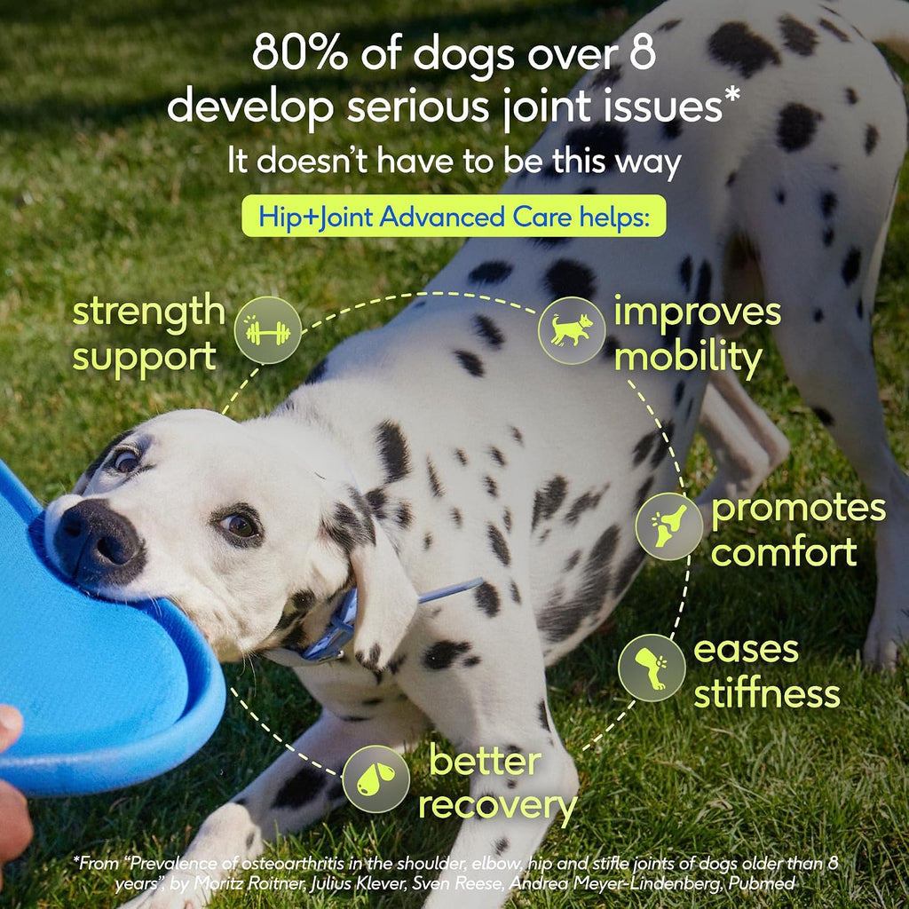 Native Pet joint supplement powder packaging side label view