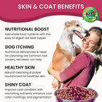 Premium non GMO single ingredient dehydrated table beets for pet wellness