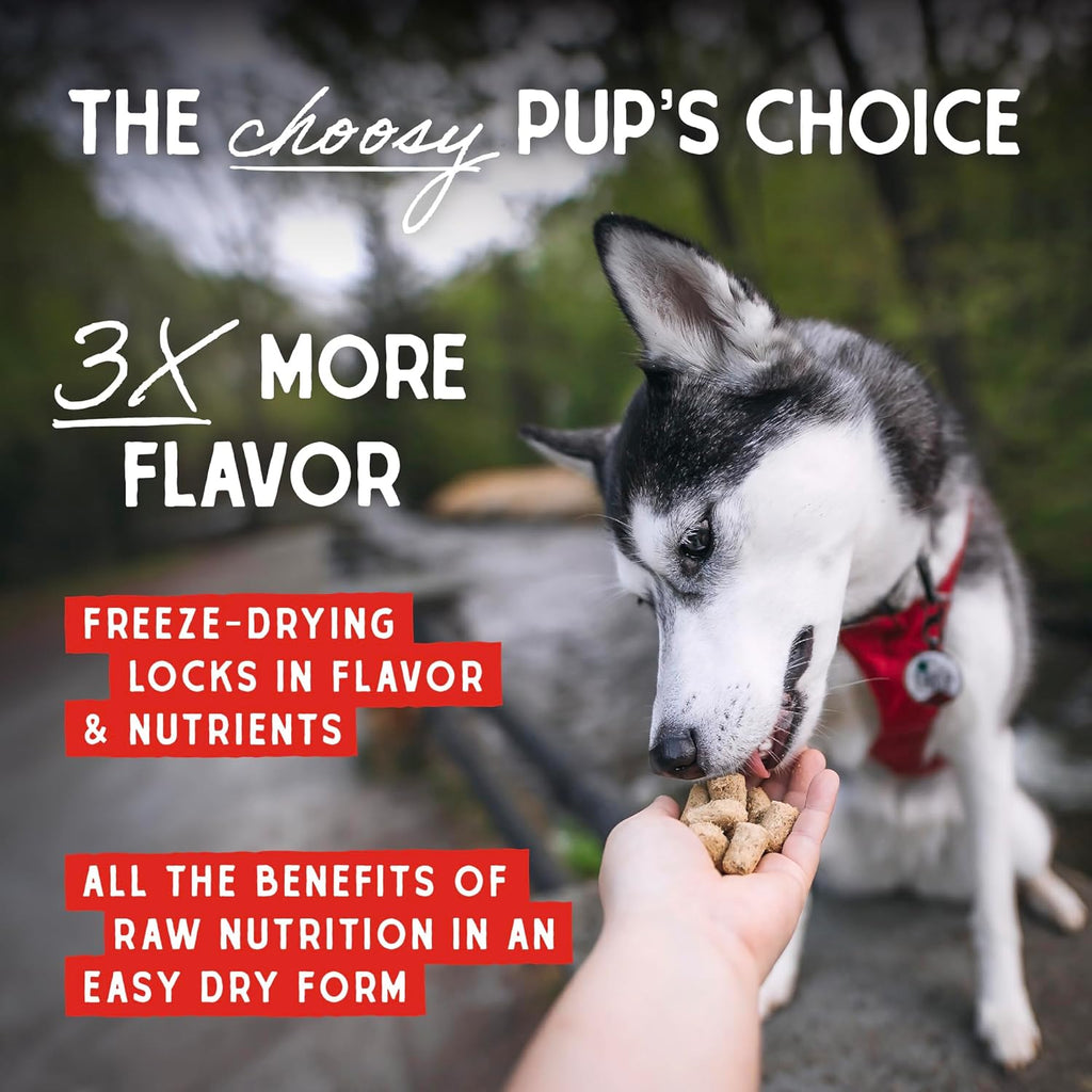Nutrient-rich freeze-dried raw meat kibble topper by Stella and Chewy's