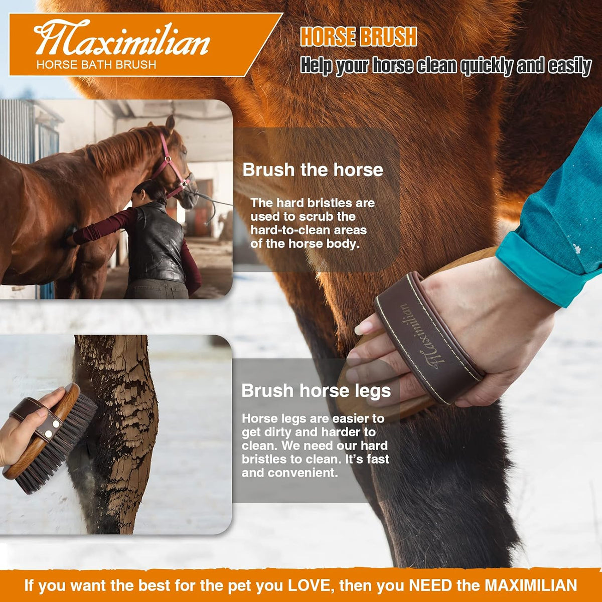 Side profile of Maximilian professional equine wooden brush