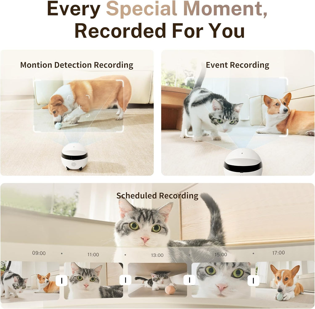 Enabot EBO ROLA Mini 2K lifestyle pet monitoring