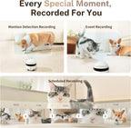 Enabot EBO ROLA Mini 2K lifestyle pet monitoring