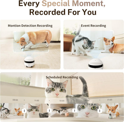 Enabot EBO ROLA Mini 2K lifestyle pet monitoring