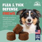 Colorado Dog bacon flavor soft chews supplement packaging