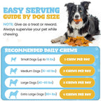 Healthy rawhide alternative pumpkin slices for all dogs