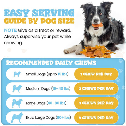 Healthy rawhide alternative pumpkin slices for all dogs