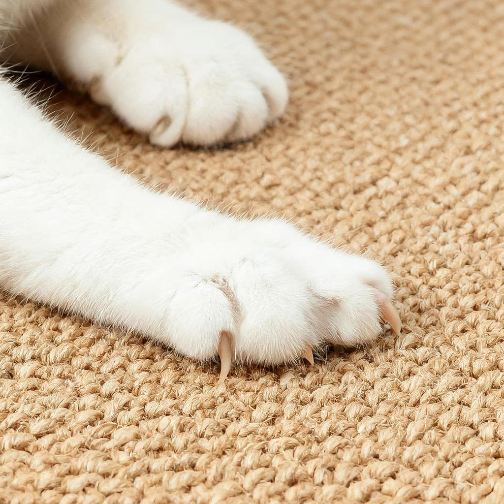 Domestic cat lounging on Ordora sisal mat bed