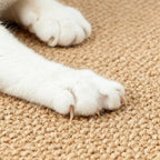 Domestic cat lounging on Ordora sisal mat bed