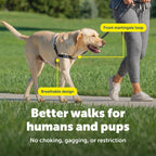 PetSafe no pull harness front chest attachment