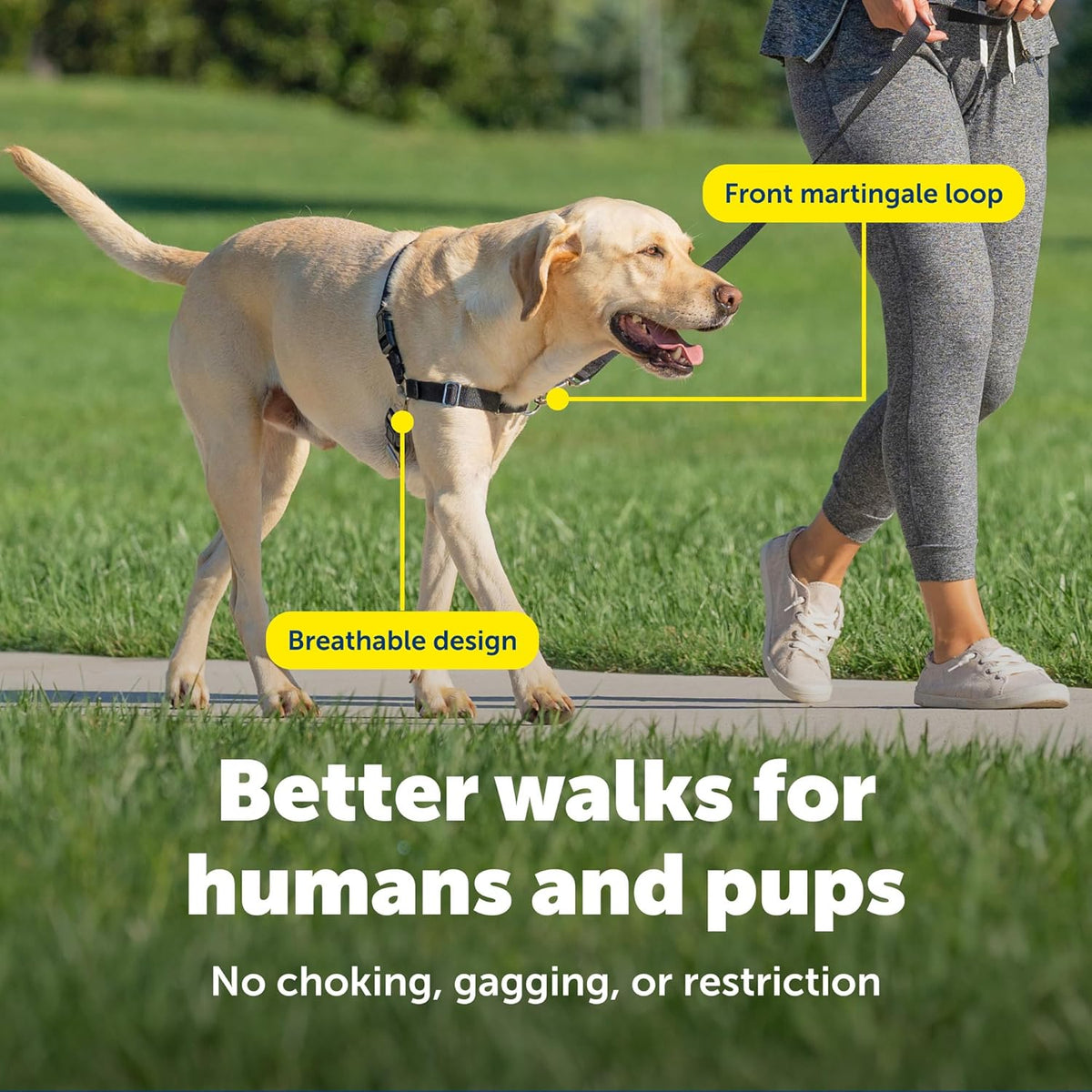 PetSafe no pull harness front chest attachment