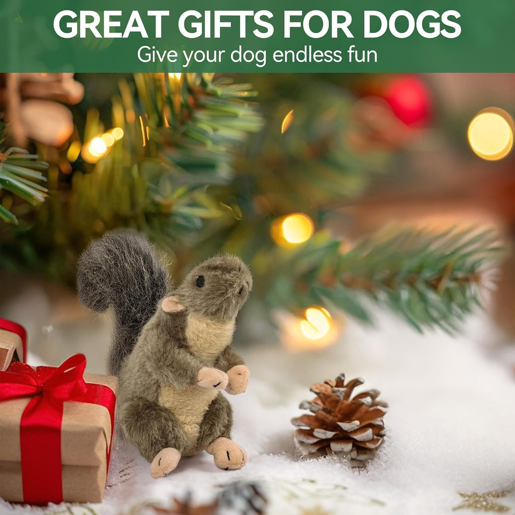 ALL FOR PAWS Classic Squirrel Pet Toys, Small - Image 9