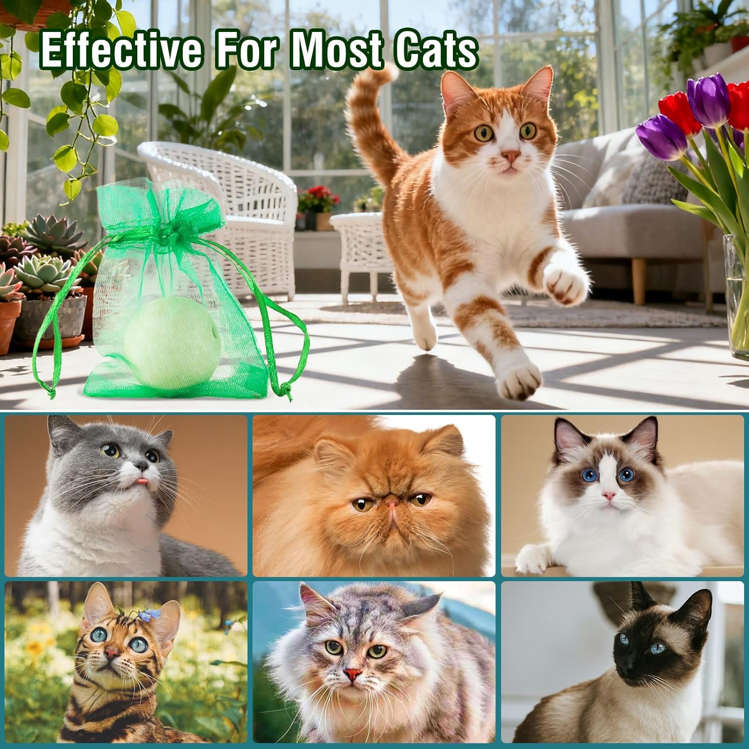 Natural essential oil cat repellent balls near potted plants