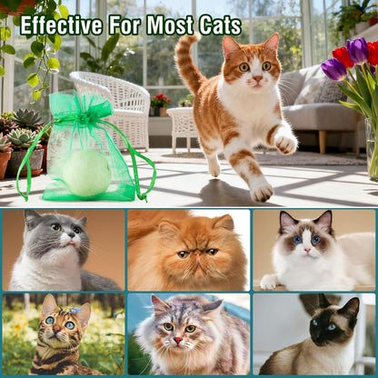 Natural essential oil cat repellent balls near potted plants