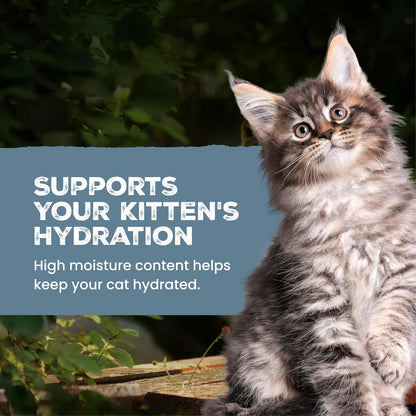 Blue Buffalo Wilderness Kitten Grain-Free Chicken Pat & Salmon Pat Wet Cat Food with DHA, High-Protein & Made with Natural Ingredients, Supports Healthy Growth & Development, 3-oz. Each (6 Count) - Image 9
