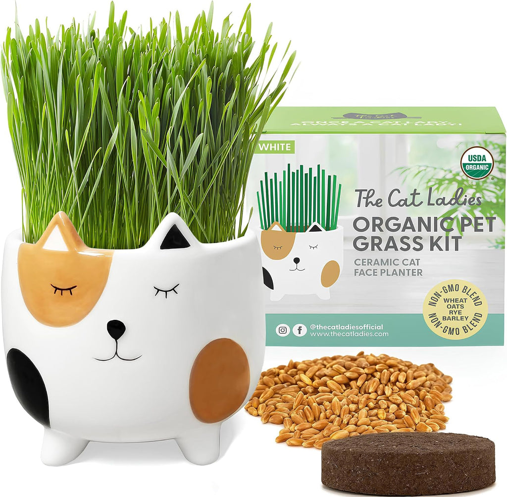 The Cat Ladies Organic Cat Grass for Indoor Cats - Growing Kit with Organic Seed Mix, Soil and White Cat Planter. Natural Hairball Control and Digestion Remedy, Cat Gifts - Image 9