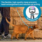 PetThem adjustable cat harness and matching leash set flat lay