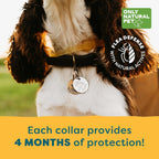 Side view of Only Natural Pet non-toxic flea collar for dogs