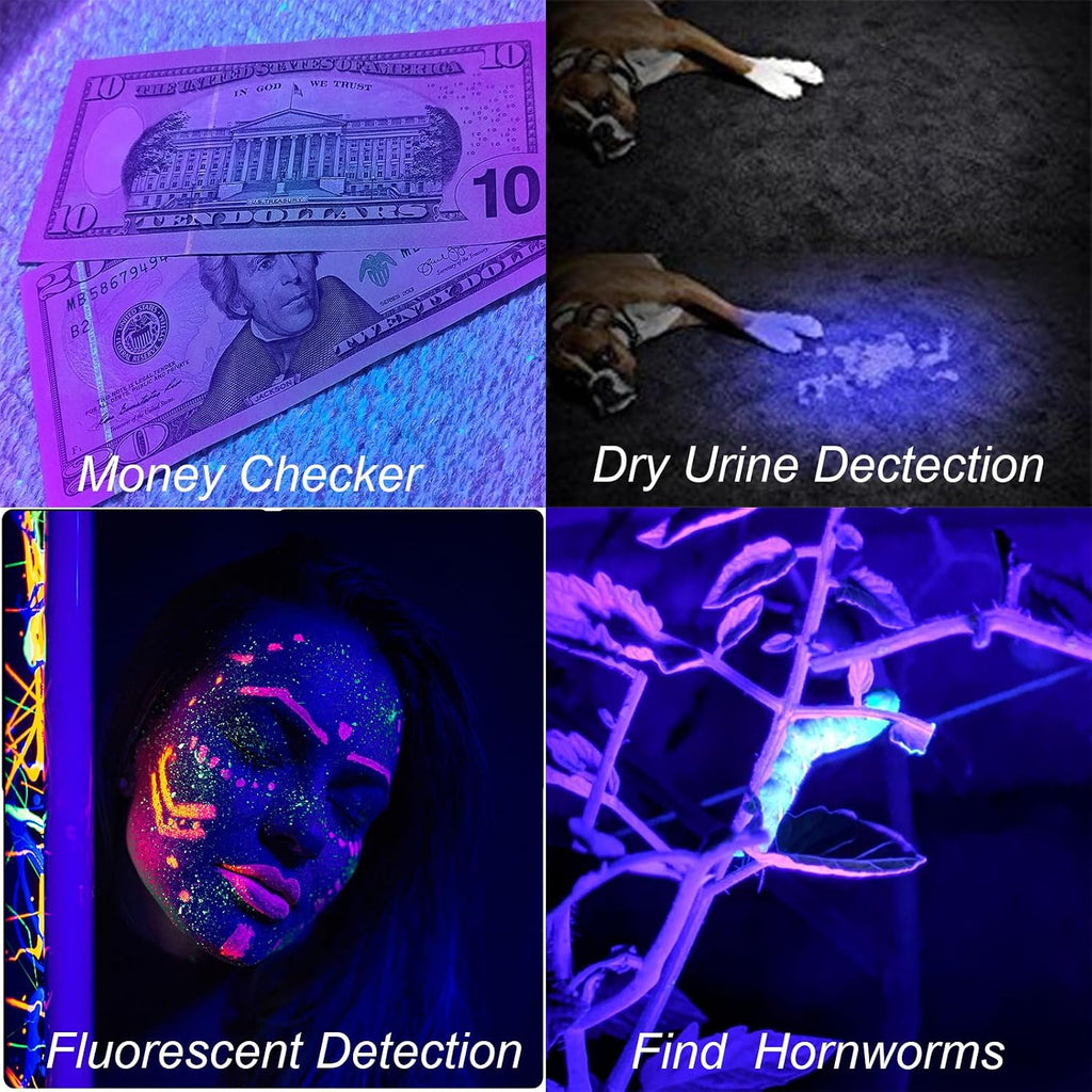 EOWCO 395nm blacklight illuminating a scorpion outdoors to highlight its natural fluorescent exoskeleton.