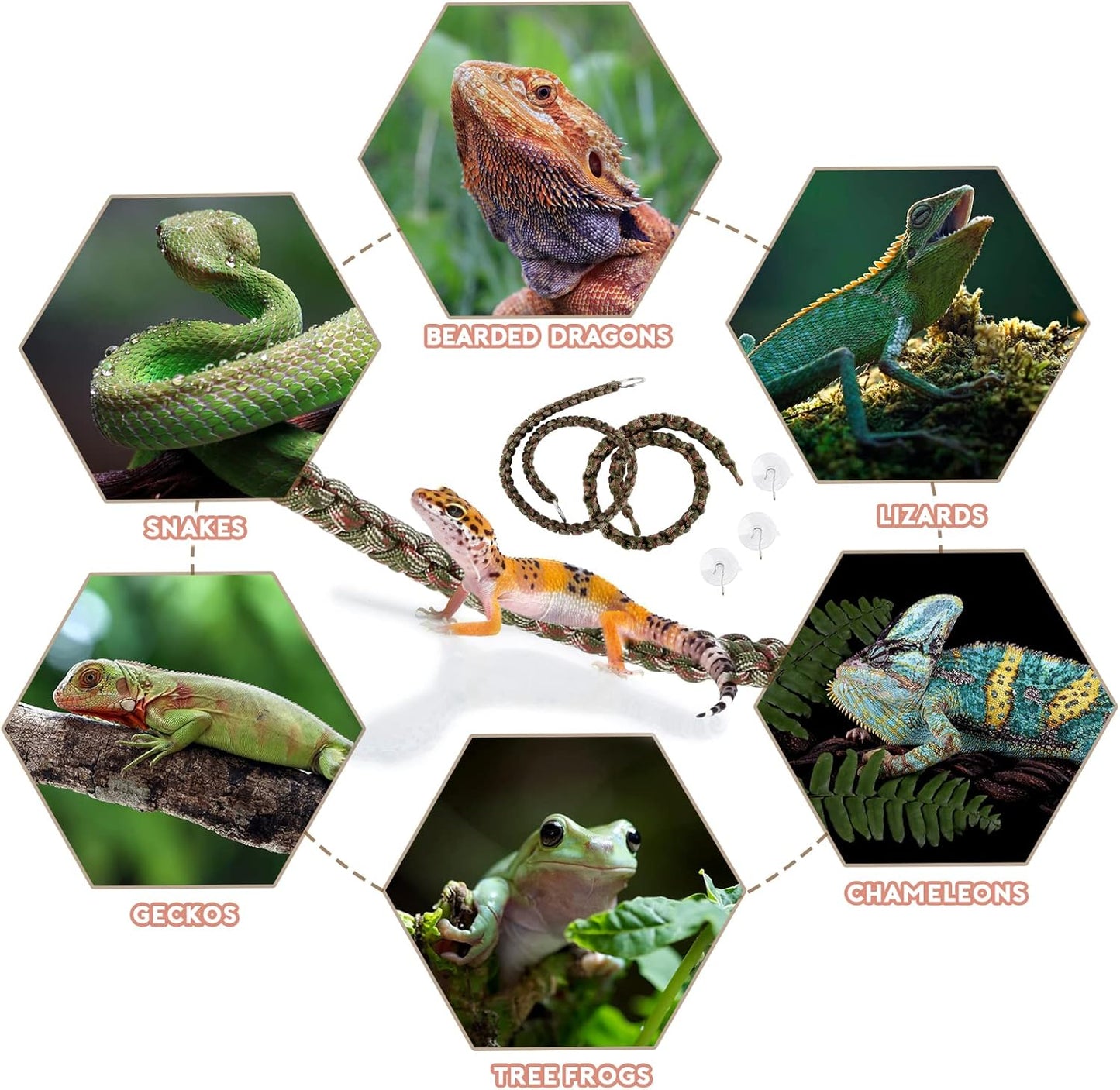 Two pieces of flexible reptile climbing habitat decorations side by side