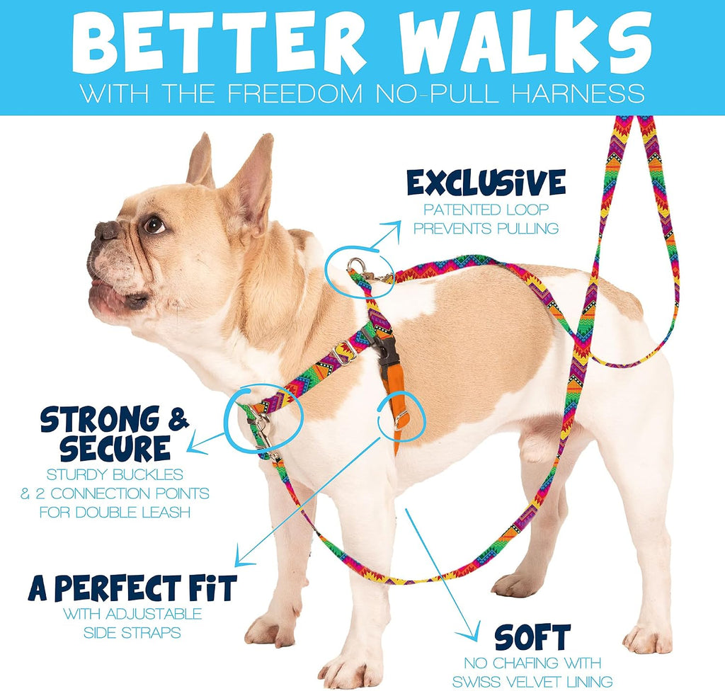 2 Hounds Design Freedom No Pull Dog Harness front view showing teal nylon webbing