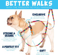2 Hounds Design Freedom No Pull Dog Harness front view showing teal nylon webbing