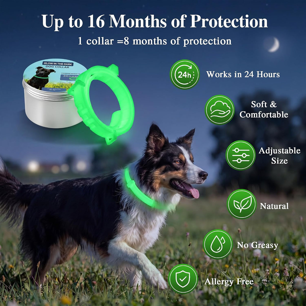 Mysora waterproof dog collar 2 pack set